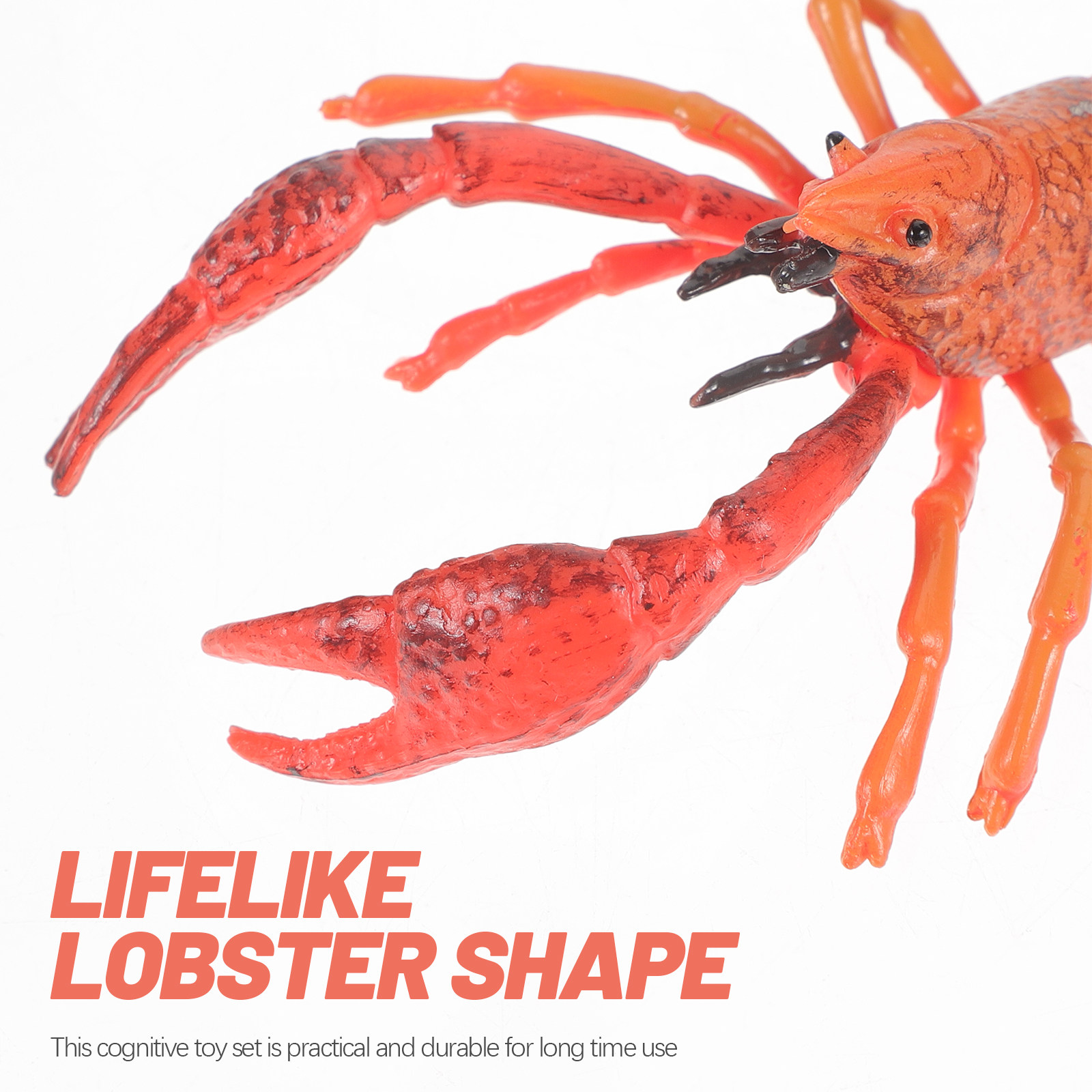 1Set Animal Cognitive Lobster  - Kids Education Help 评论和价格