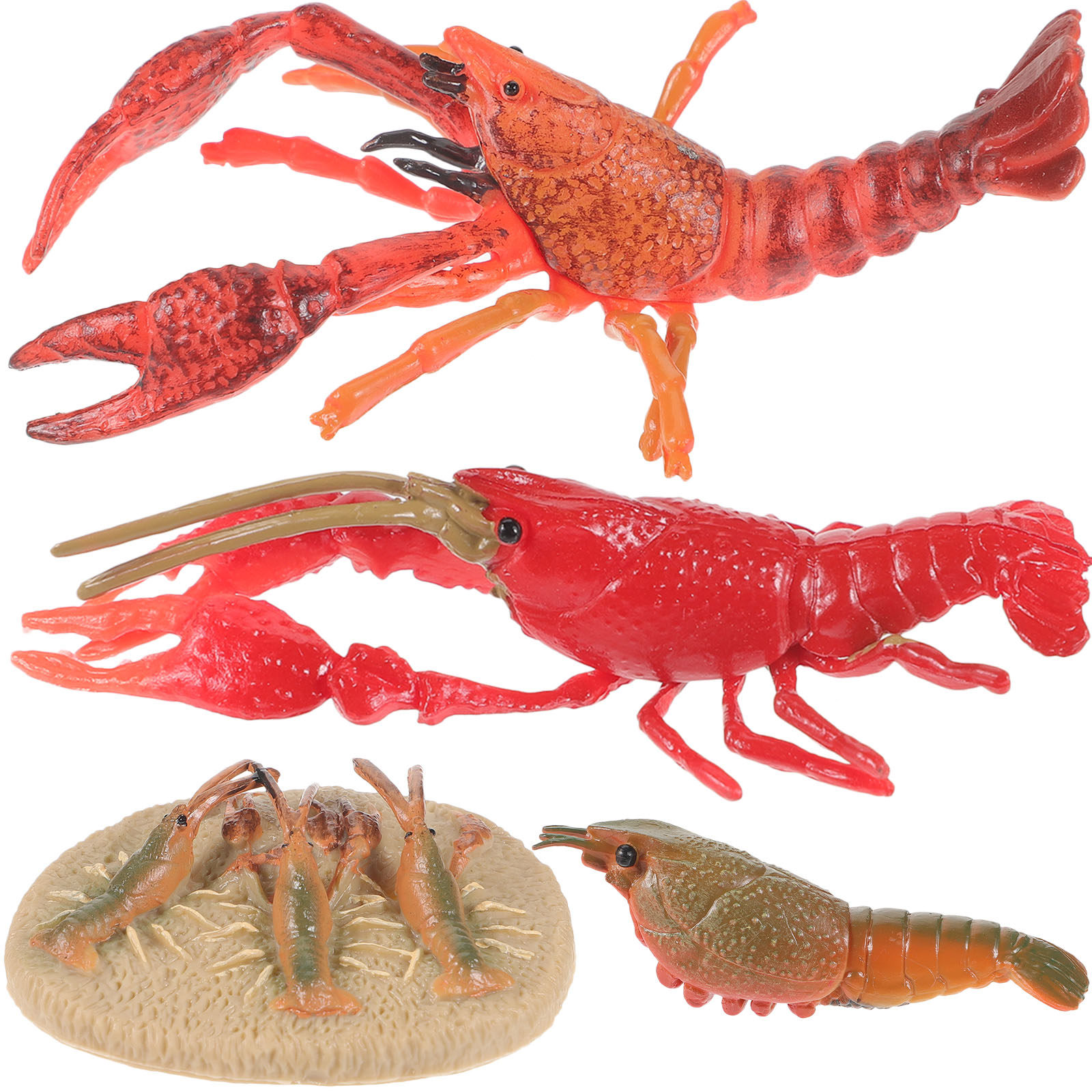 1Set Animal Cognitive Lobster  - Kids Education Help 评论和价格